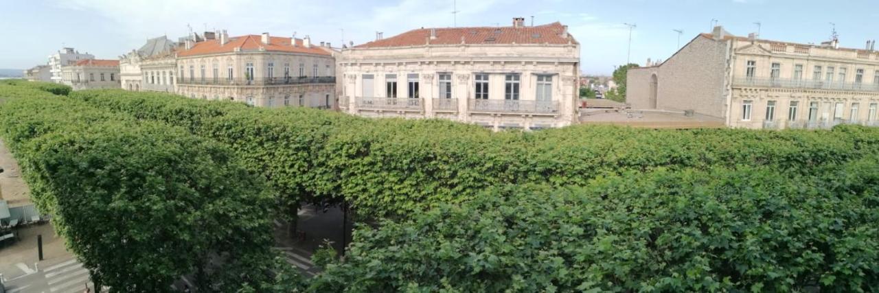 Studio Le Voltaire Sublime & Cosy Proche Gare De 세테 외부 사진